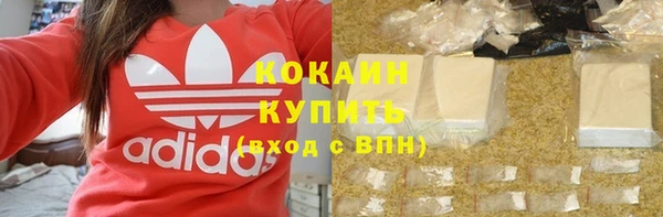 spice Новозыбков