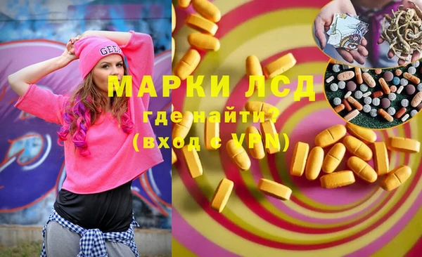 спайс Новодвинск