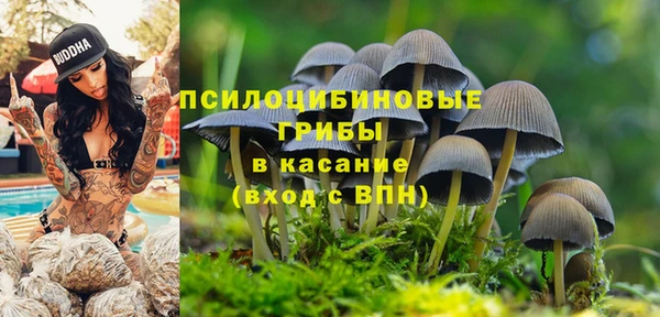 спайс Новодвинск