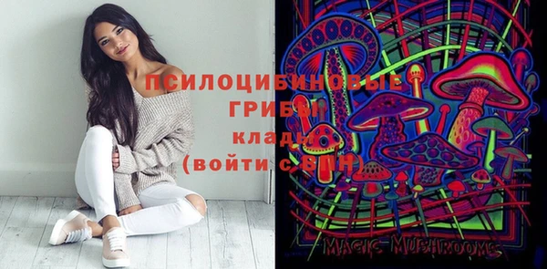 дурь Новокубанск