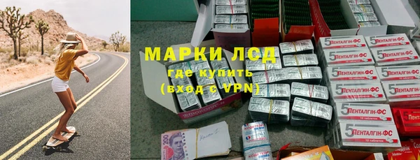 spice Новозыбков