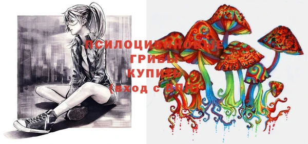 spice Новозыбков