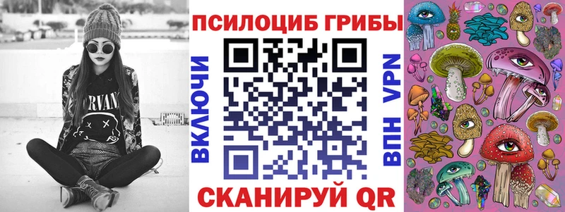 где найти наркотики  Лукоянов  Галлюциногенные грибы Cubensis 