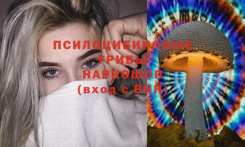 Псилоцибиновые грибы Magic Shrooms  где продают   Лукоянов 